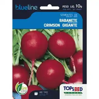 Santo Supermercados Semente rabanete crimson gigante blue line topseed 10g oferta
