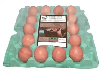 Festval Ovos top eggs vermelhos galinhas livres 20 unidades oferta
