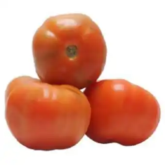 Tomate longa vida 1kg