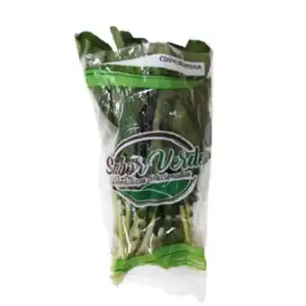 Couve manteiga sabor verde maço