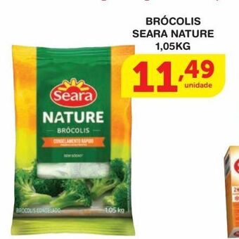 Roldão Brócolis seara nature 1,05kg oferta