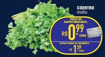 Coentro molho