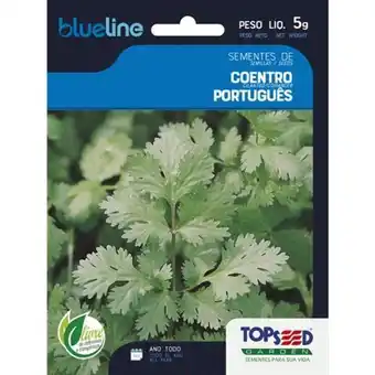Santo Supermercados Semente coentro português blue line topseed 5g oferta