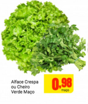 Alface Crespa ou Cheiro verde Maco