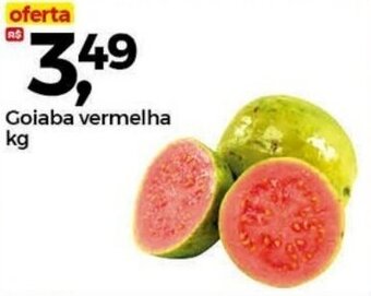 Frangolândia Goiaba vermelha kg oferta