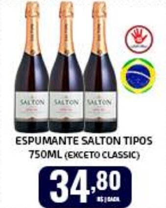 ESPUMANTE SALTON TIPOS 750ML (EXCETO CLASSIC)