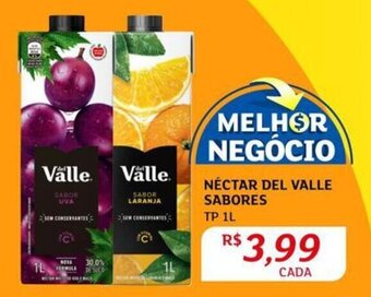 Assaí Atacadista NÉCTAR DEL VALLE SABORES TP 1L oferta