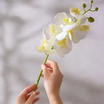 Orquídea artificial com folha seed