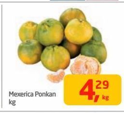 Tenda Atacado Mexerica ponkan kg oferta