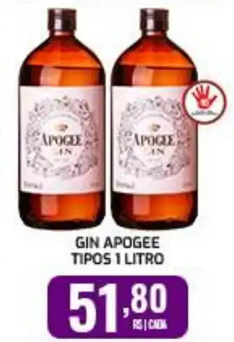 Iquegami Supermercados GIN APOGEE TIPOS 1 LITRO oferta