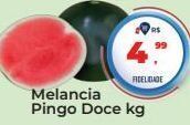 Tonin Superatacado Melancia pingo doce kg oferta