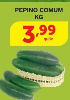 Roldão Pepino comum kg oferta