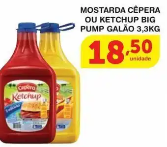 Roldão Mostarda cêpera ou ketchup big pump galão 3,3kg oferta