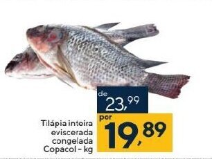Tilápia inteira eviscerada congelada Copacol-kg