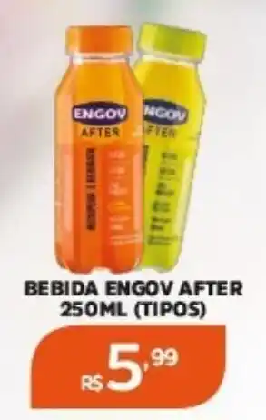 BEBIDA ENGOV AFTER 250ML (TIPOS)