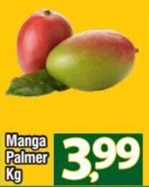 Manga Palmer Kg