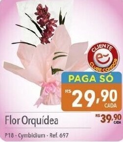 Supermercados Condor Flor Orquídea P18-Cymbidium - Ref. 697 oferta