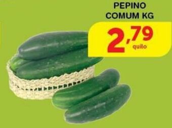 Roldão Pepino comum kg oferta