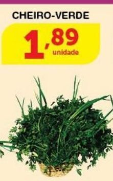 Roldão Cheiro verde oferta
