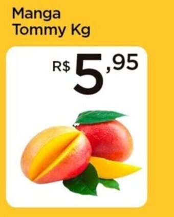 Spani Atacadista Manga Tommy Kg oferta