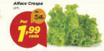 Dia Alface Crespa Und. oferta