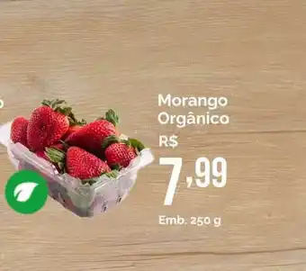 Oba Hortifruti Morango Orgânico 250g oferta