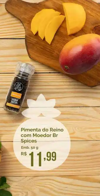 Pimenta Do Reino Com Moedor Br Spices