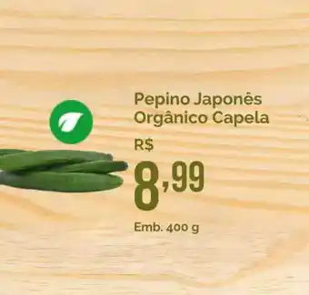 Pepino Japonês Orgânico Capela 400g