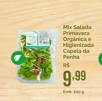 Oba Hortifruti Mix Salada Primavera Orgânica E Higienizada Capela Da Penha 200g oferta
