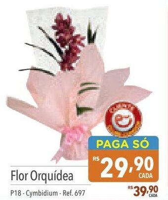 Supermercados Condor Flor Orquídea oferta