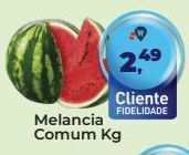 Tonin Superatacado Melancia comum kg oferta