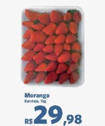 Sam's Club Morango Bandeja, 1kg oferta
