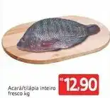 Acara/ Tilapia inteiro fresco 1kg