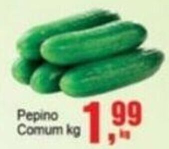 Negreiros Pepino Comum kg oferta