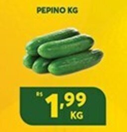 Atacadão Centro Sul Pepino 1kg oferta