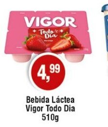 Bebida Láctea Vigor Todo Dia 510g
