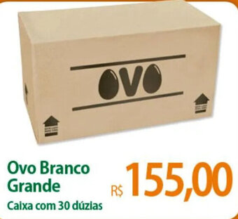 Ovo Branco Grande Caixa com 30 dúzias