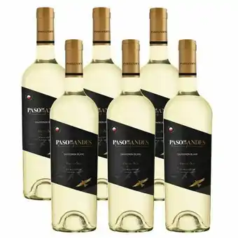 Pão de Açúcar Kit 06 un. vinho paso de los andes sauvignon blanc 750ml oferta