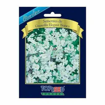 Pão de Açúcar Sementes gypsofila elegant branca topseed garden oferta