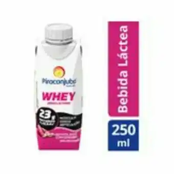 Sam's Club Bebida láctea batata doce com gengibre whey zero lactose piracanjuba caixa 250ml oferta