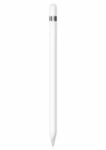 Apple pencil (1ª geração)