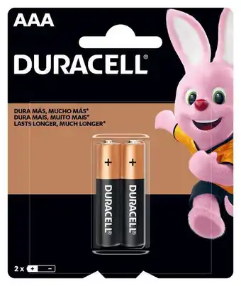 Pilha duracell aaa com 2 unidades