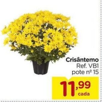 Carrefour Crisântemo Ref. VB1 pote nº 15 oferta