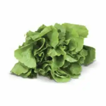 Hortifruti Chicoria escarola orgânico unidade oferta