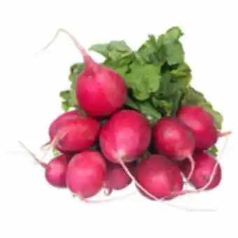 Hortifruti Rabanete maço oferta