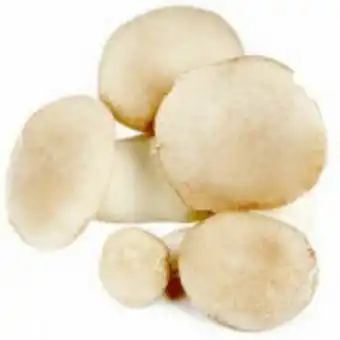 Hortifruti Cogumelo eryngui urakami bandeja - 200g oferta