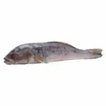 Namorado inteiro - 500g