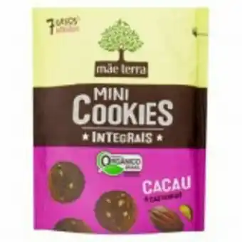 Hortifruti Biscoito integral orgânico cacau & castanhas mãe terra mini cookies pacote 120g oferta
