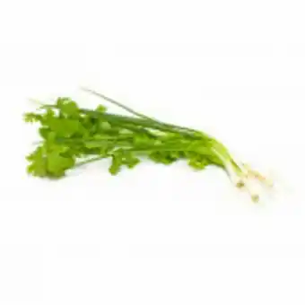 Hortifruti Cheiro verde orgânico - maço oferta