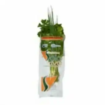 Hortifruti Cheiro verde solo vivo orgânico - unidade oferta